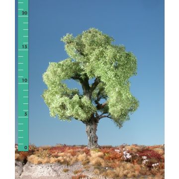 Silhouette Eich - Kahl - 1 (ca. 10-13cm) (280-10)