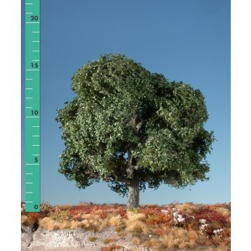 Silhouette Eich - Sommer - 1 (ca. 10-13cm) - N / Z (180-12)