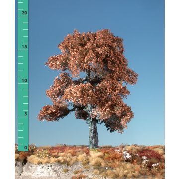 Silhouette Eich - Spätherbst - 1 (ca. 10-13cm) - N / Z (180-14)