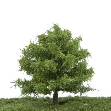 Silhouette Eiche - Frühling - 12-16cm (280-41)