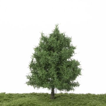 Silhouette Eiche - Sommer - 17-22cm (280-52)