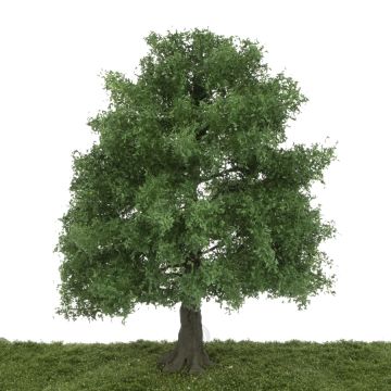 Silhouette Eiche - Spätherbst - 25-29cm (381-001-4)