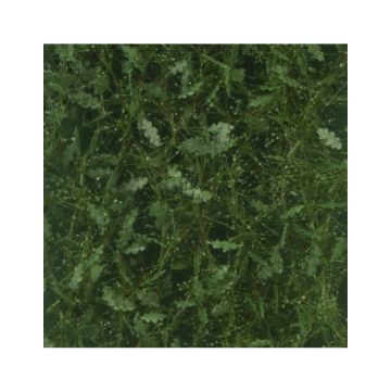 Silhouette Eichenlaub - Sommer - ca. 50x31,5cm - 1:45+ (980-32H)