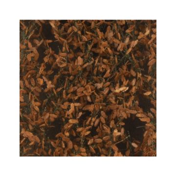 Silhouette Eichenlaub - Spätherbst - ca. 50x31,5cm - H0 / TT (980-24H)