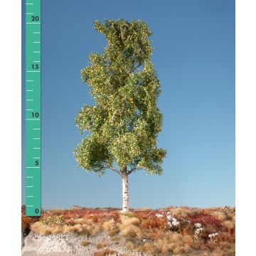 Silhouette Espe - Frühherbst - 0 (< ca. 8cm) (215-03)