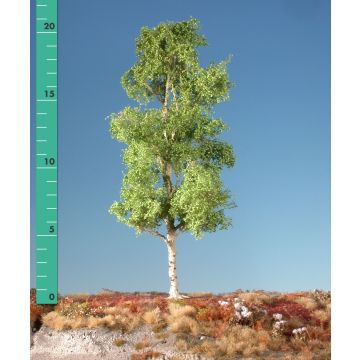 Silhouette Espe - Frühling - 0 (< ca. 8cm) (215-01)