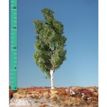 Silhouette Espe - Sommer - 0 (< ca. 8cm) (215-02)