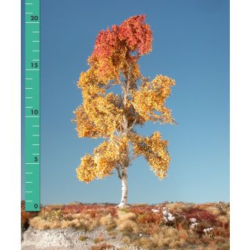 Silhouette Espe - Spätherbst - 0 (< ca. 8cm) (215-04)