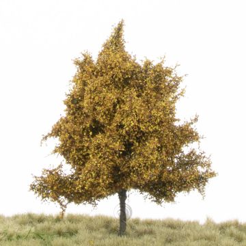 Silhouette Espe - Spätherbst - 12-16cm (215-44)