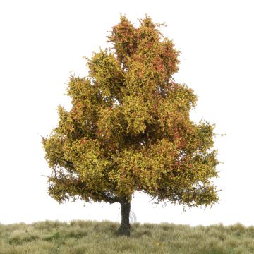 Silhouette Espe - Spätherbst - 0 (< ca. 8cm) (215-64)