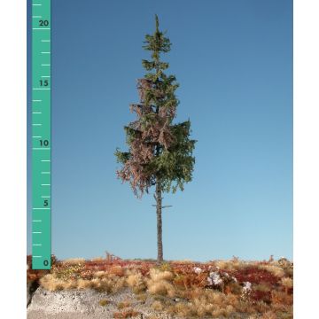 Silhouette Fichte Hochstamm - Sommer - 2 (ca. 15-20cm) - H0 / TT (274-22)