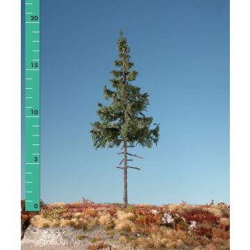 Silhouette Fichte Hochstamm - Sommer - ca. 42cm (374-42)