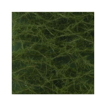 Silhouette Fichte - Sommer - ca. 63x50cm - 1:45+ (973-32G)