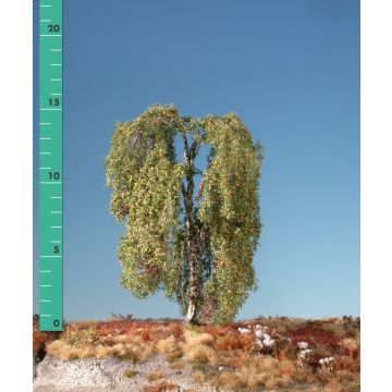 Silhouette Hängebirke - Frühherbst - 0 (< ca. 8cm) (211-03)