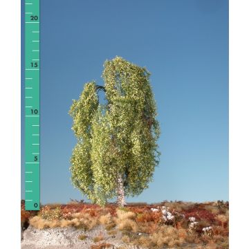 Silhouette Hängebirke - Frühling - 0 (< ca. 8cm) (211-01)