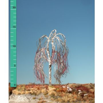 Silhouette Hängebirke - Kahl - 2 (ca. 15-20cm) (211-20)