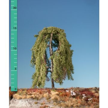 Silhouette Hängebirke - Sommer - 0 (< ca. 8cm) (211-02)