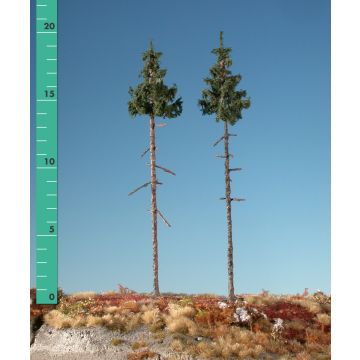 Silhouette Innenwald-Fichte - Sommer - 3 (ca. 22-29cm) - 1:45+ (275-32)