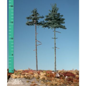 Silhouette Innenwald-Tanne - Sommer - 2 (ca. 15-20cm) - H0 / TT (278-22)