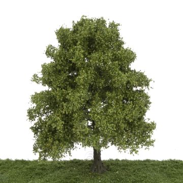 Silhouette Kastanie - Spätherbst - 30-34cm (391-002-4)
