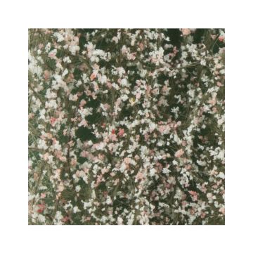 Silhouette Kirschbaumblüten - Frühling - ca. 50x31,5cm - H0 / TT (927-21H)