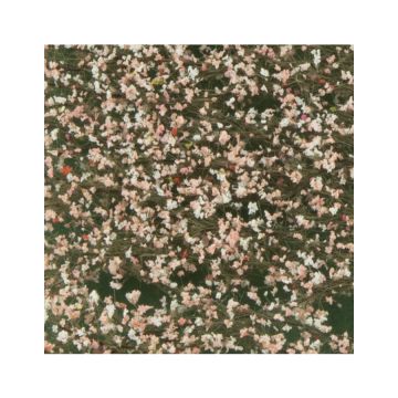 Silhouette Kirschbaumblüten - Rose - ca. 63x50cm - H0 / TT (927-25G)