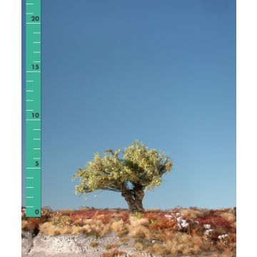 Silhouette Kopfweide - Frühherbst - 0 (< ca. 8cm) (241-03)