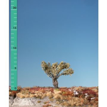 Silhouette Kopfweide - Spätherbst - 0 (< ca. 8cm) (241-04)