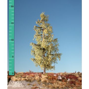 Silhouette Lärche - Frühherbst - 2 (ca. 15-20cm) - H0 / TT (279-23)