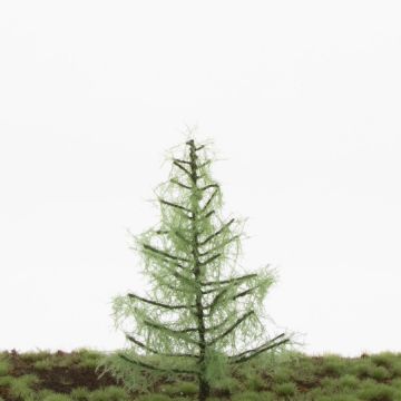 Silhouette Lärche - Frühling - 12-16cm (279-41)