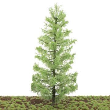 Silhouette Lärche - Frühling - 20-24cm (281-000-0)
