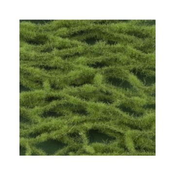 Silhouette Lärche - Frühling - ca. 63x50cm - H0 / TT (979-21G)