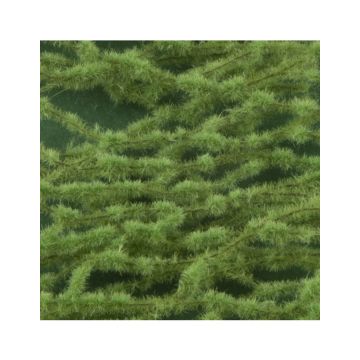 Silhouette Lärche - Frühling - ca. 63x50cm - 1:45+ (979-31G)