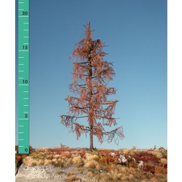Silhouette Lärche - Kahl - 2 (ca. 15-20cm) (279-20)