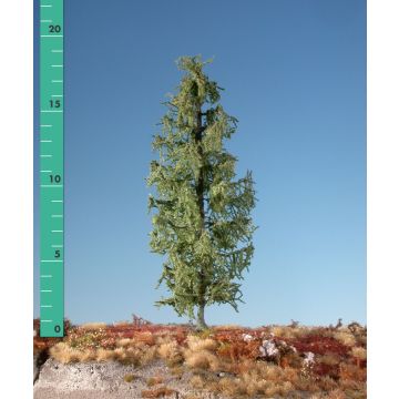 Silhouette Lärche - Sommer - 2 (ca. 15-20cm) - H0 / TT (279-22)