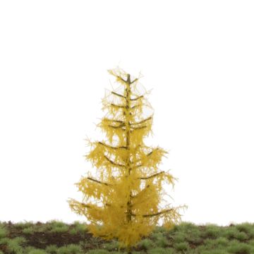 Silhouette Lärche - Spätherbst - 12-16cm (279-44)