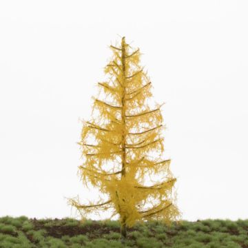 Silhouette Lärche - Spätherbst - 17-22cm (279-54)
