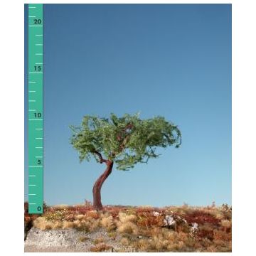 Silhouette Latschenkiefer - Sommer - 0 (< ca. 8cm) (271-02)