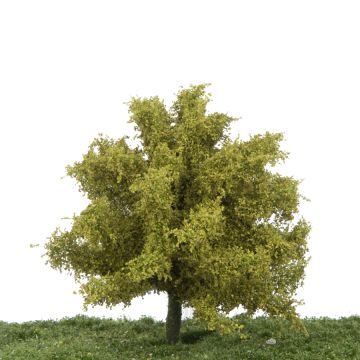Silhouette Linde - Frühling - 0 (< ca. 8cm) (242-01)