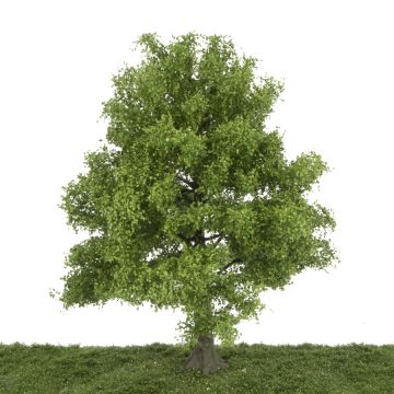 Silhouette Linde - Frühling - 25-29cm (385-001-1)