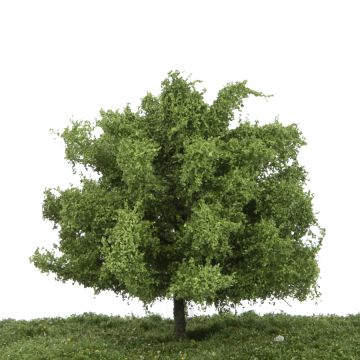 Silhouette Linde - Sommer - 0 (< ca. 8cm) (242-02)