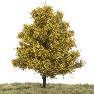 Silhouette Linde - Spätherbst - 0 (< ca. 8cm) (242-64)