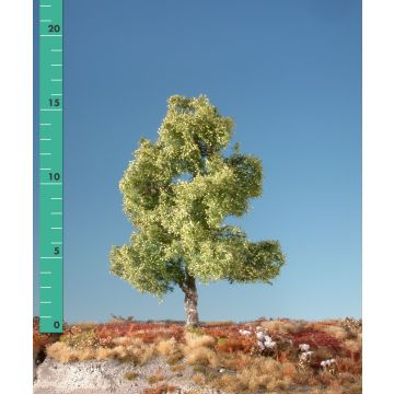 Silhouette Moorbirke - Frühling - 0 (< ca. 8cm) (210-01)