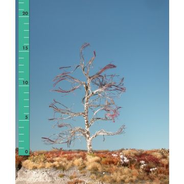 Silhouette Moorbirke - Kahl - 2 (ca. 15-20cm) (210-20)