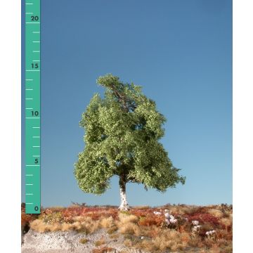 Silhouette Moorbirke - Sommer - 0 (< ca. 8cm) (210-02)