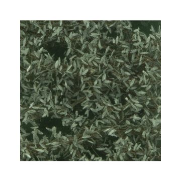 Silhouette Olivenbaumlaub - Sommer - ca. 50x31,5cm - H0 / TT (945-22H)