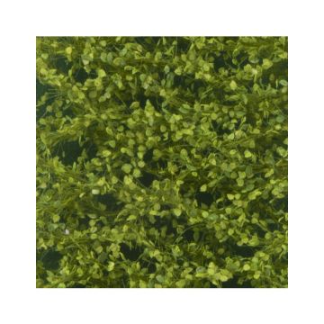 Silhouette Pappellaub - Frühling - ca. 27x16,5cm - H0 / TT (913-21)