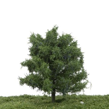 Silhouette Pflaumenbaum - Sommer - 12-16cm (229-42)