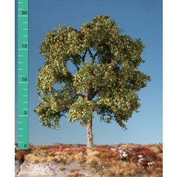 Silhouette Platane - Frühherbst - 1 (ca. 10-13cm) - N / Z (233-13)