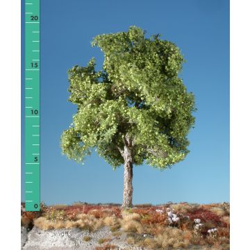 Silhouette Platane - Frühling - 0 (< ca. 8cm) (233-01)